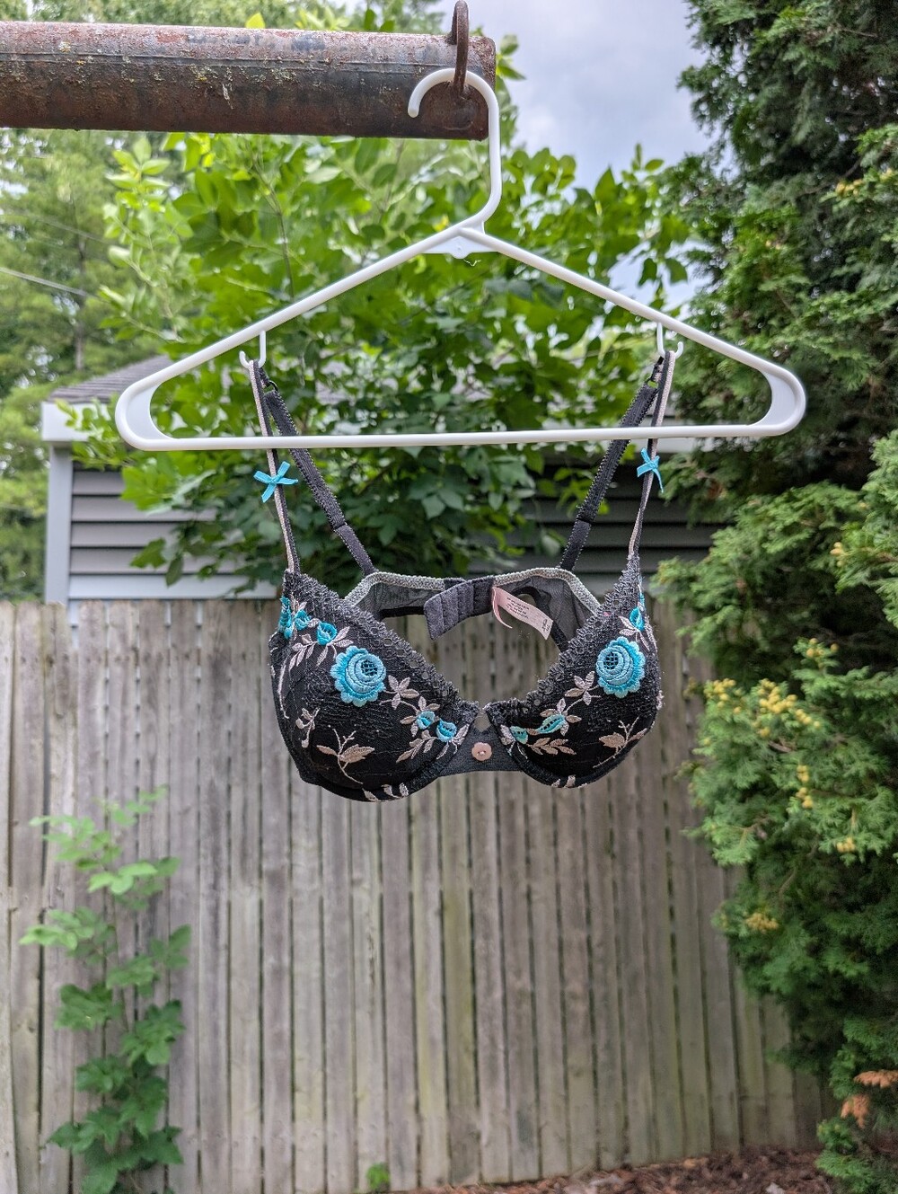 Victorias Secret Angels Embroidered Floral Demi Bra Size 34 C
